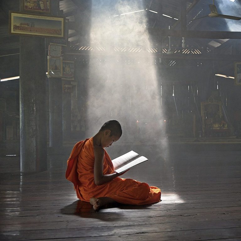 Religious Vacation A young monk in orange robes reads in a sunlit, tranquil temple environment.