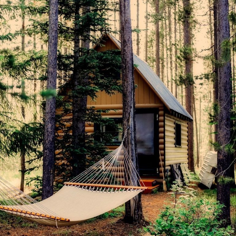 Nature Retreat Vacation Small wooden cabin nestled among tall trees with a hammock nearby.