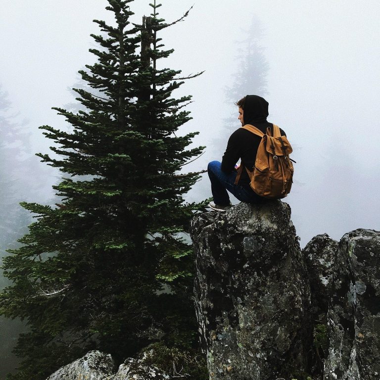 Solo Vacations Person sitting on a rock near a tall tree in a misty forest.
