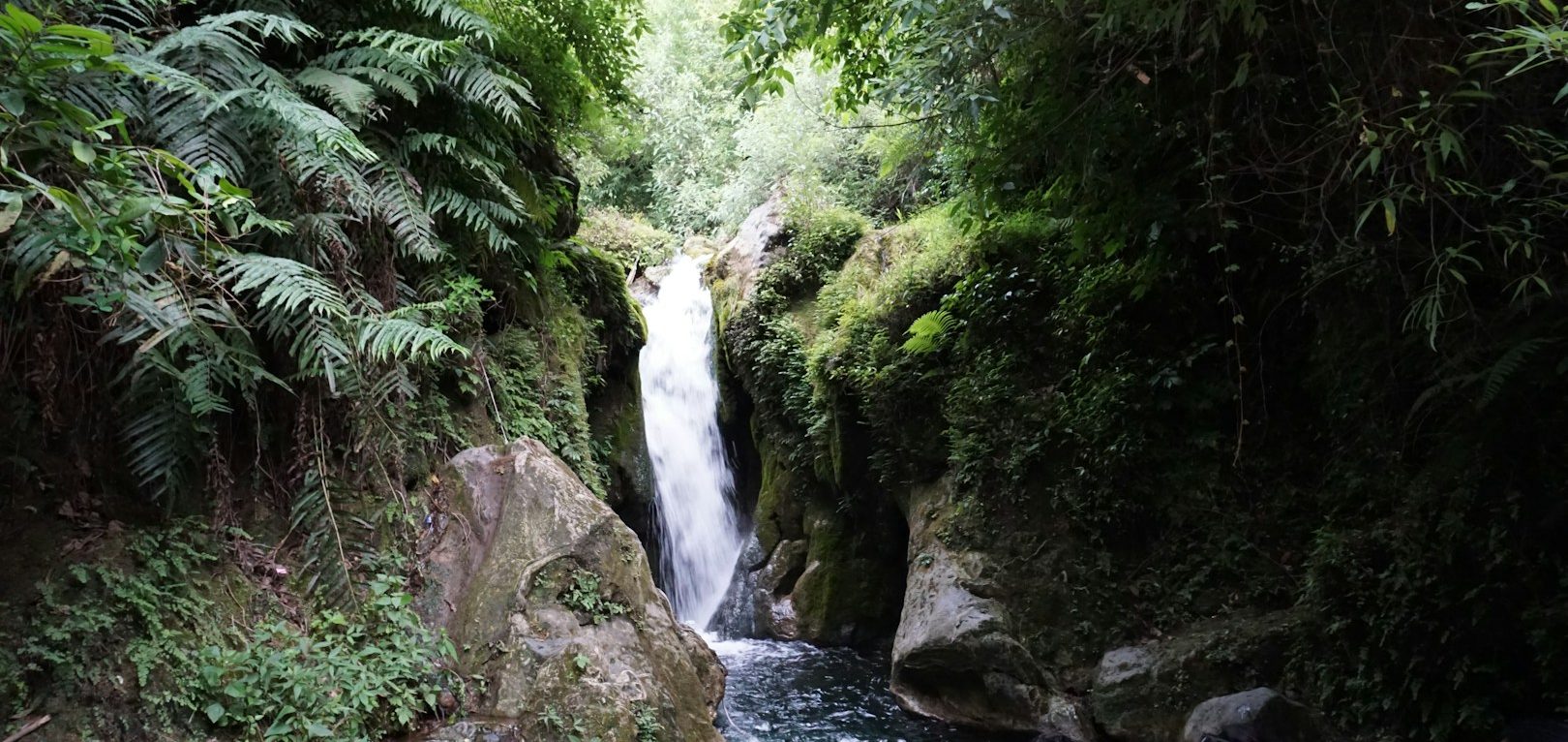 Waterfall cascading through lush greenery booked by Slice Of Paradise Travel Agency