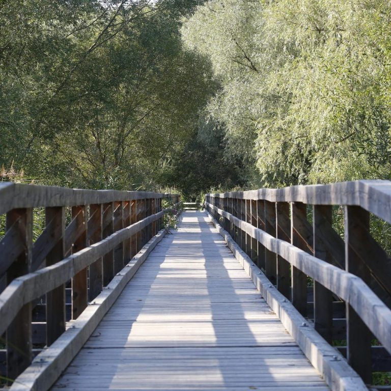 Trip Advisors Official Site A winding road through rocky terrain leading to a distant mountain.